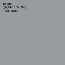 #959B9F - Star Dust Color Image